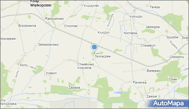 mapa Skoraczew, Skoraczew na mapie Targeo